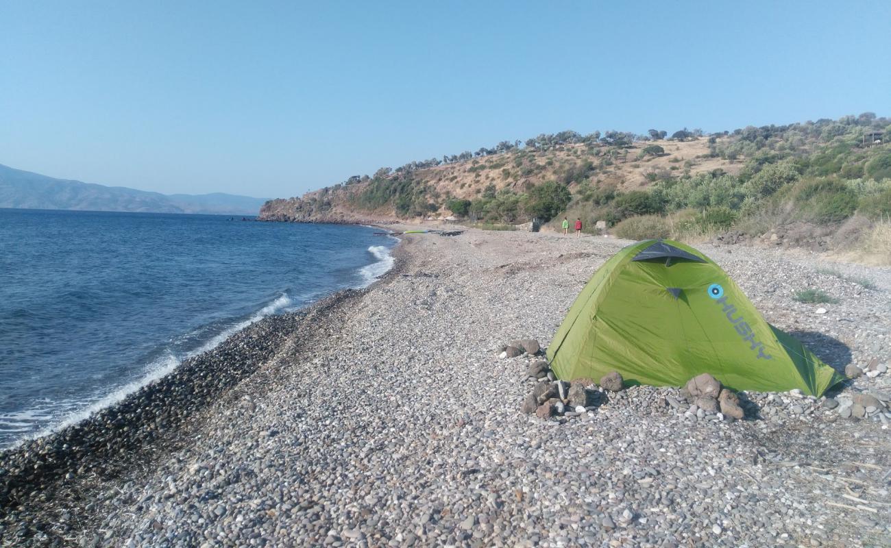 Foto de Kaldera-Assos beach con guijarro ligero superficie