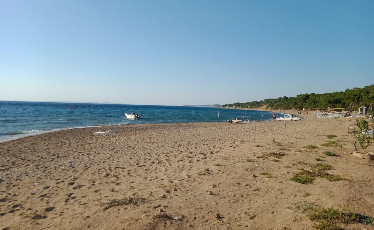 Foto de Camlik Camp beach con arena brillante superficie