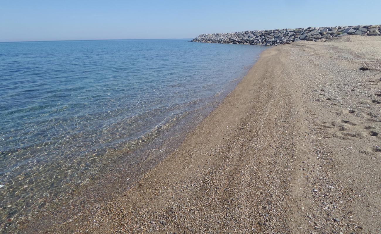 Foto de Dalyan Marina beach con arena fina y guijarros superficie