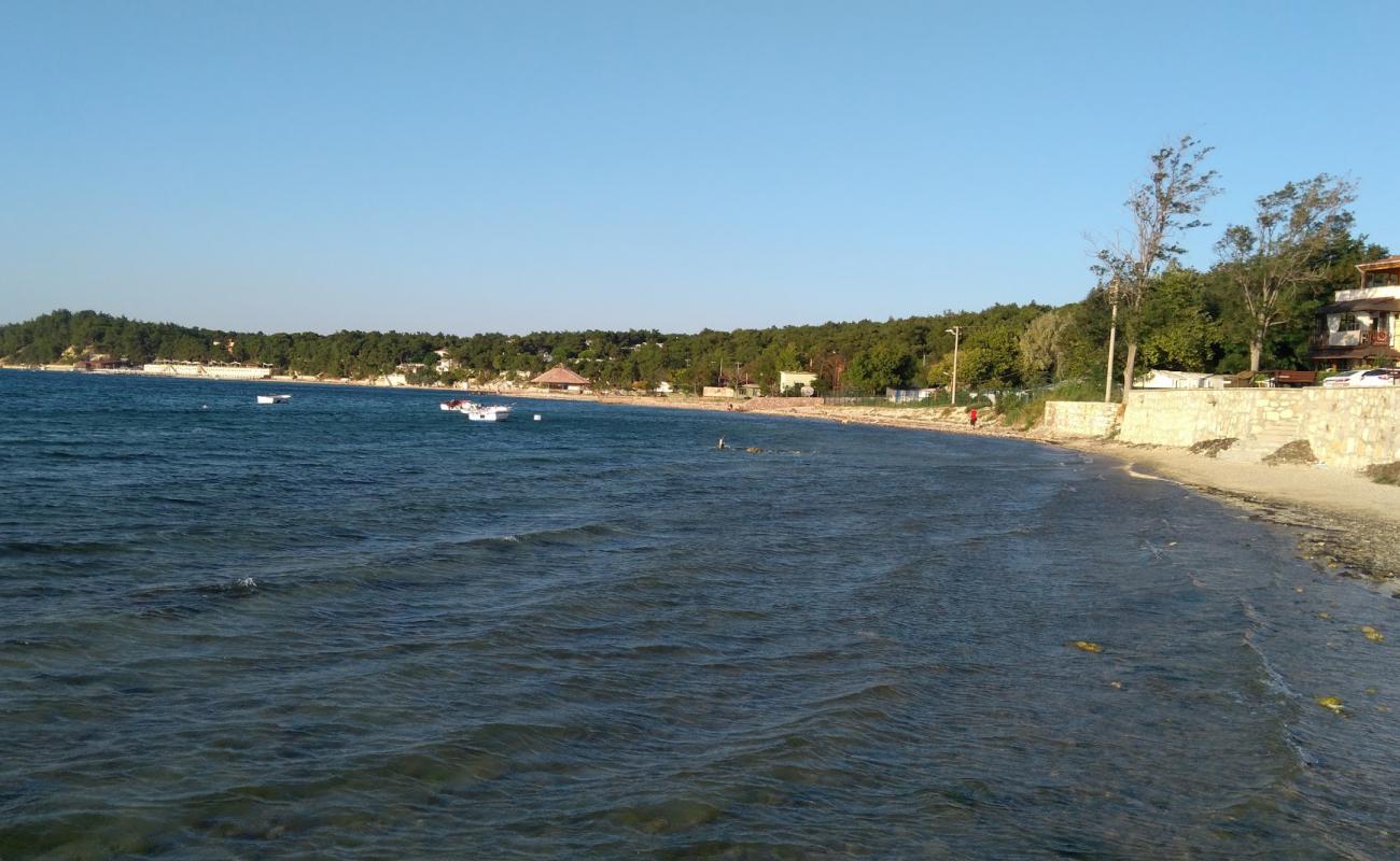 Foto de Pamira park beach con arena fina y guijarros superficie