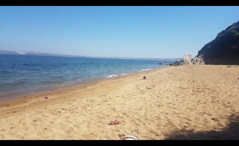 Foto de Tanasa Sahil beach con arena oscura superficie