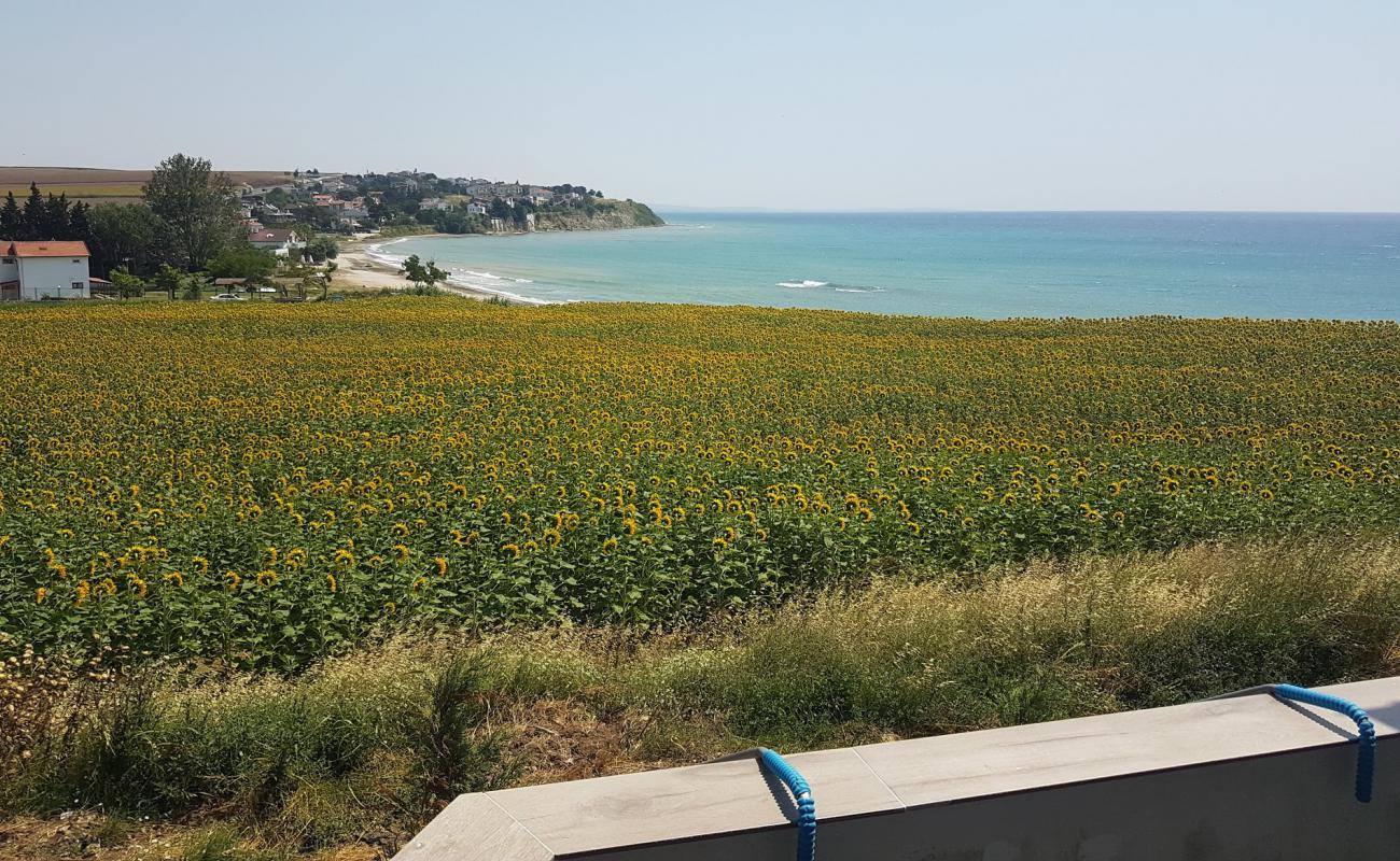 Foto de Hurriyet beach con arena fina y guijarros superficie