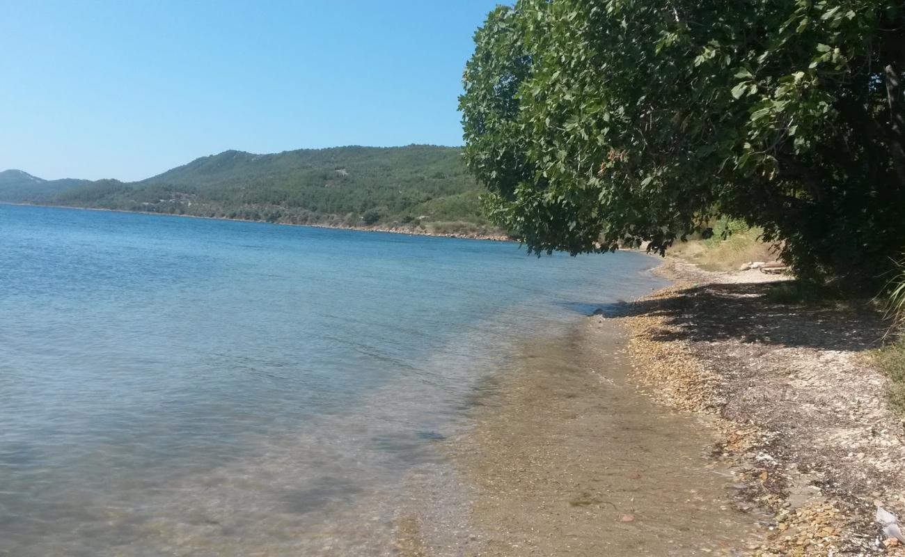 Foto de Pazarli beach con arena/guijarros negro superficie