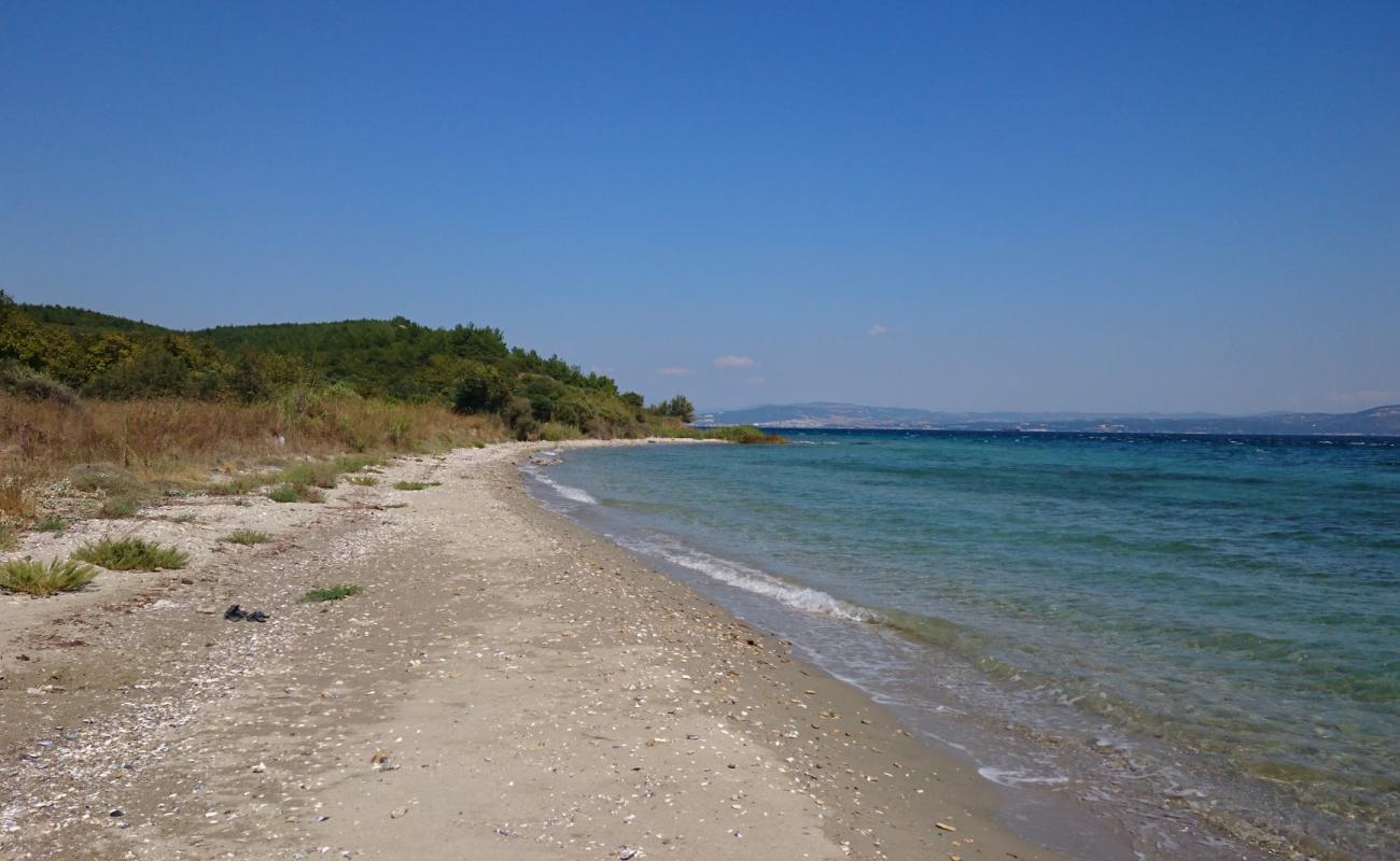 Foto de Alcitepe beach con arena/guijarros negro superficie