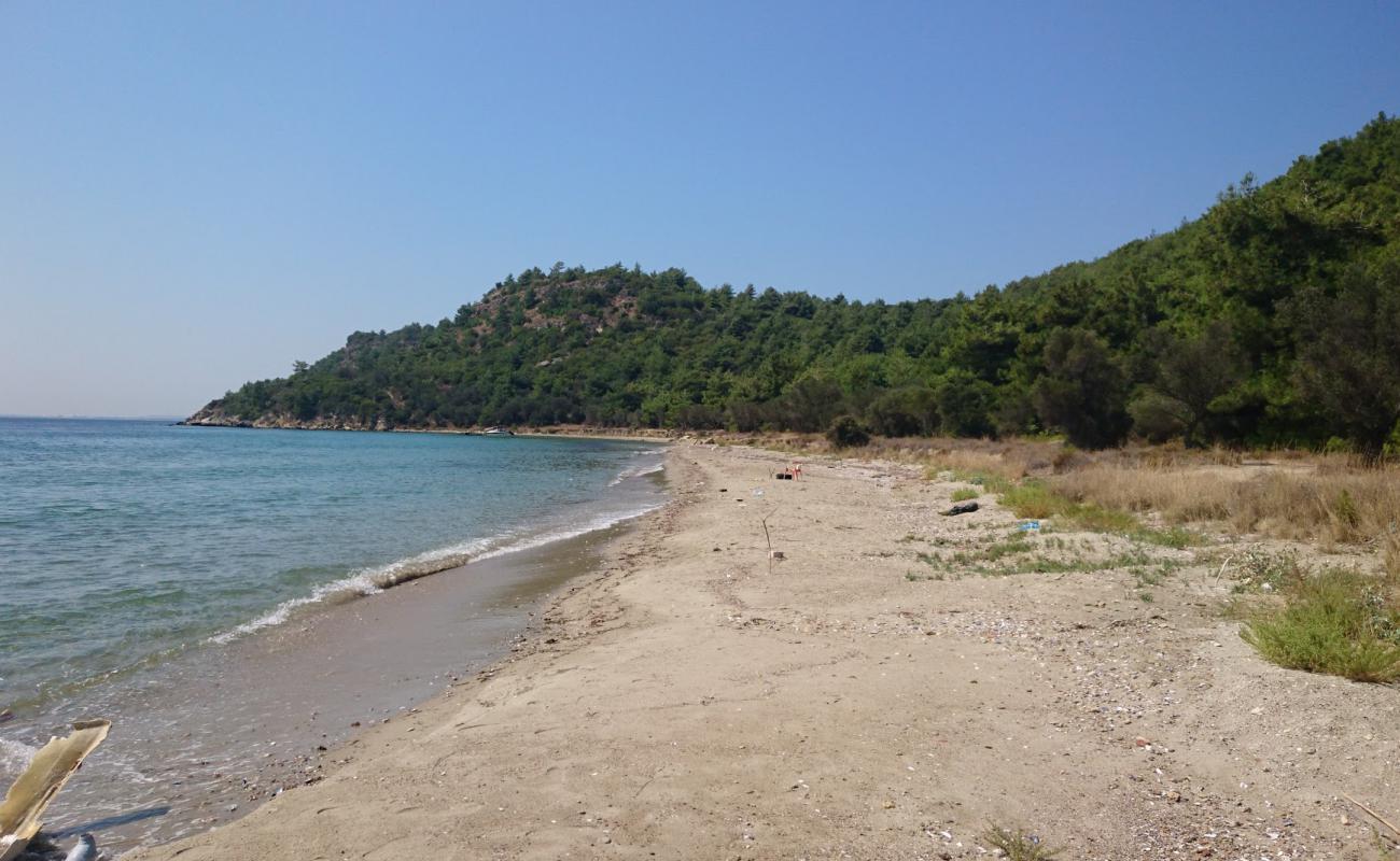 Foto de Alcitepe beach II con arena oscura superficie