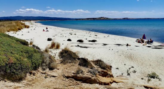 Playa de Suvla Cove