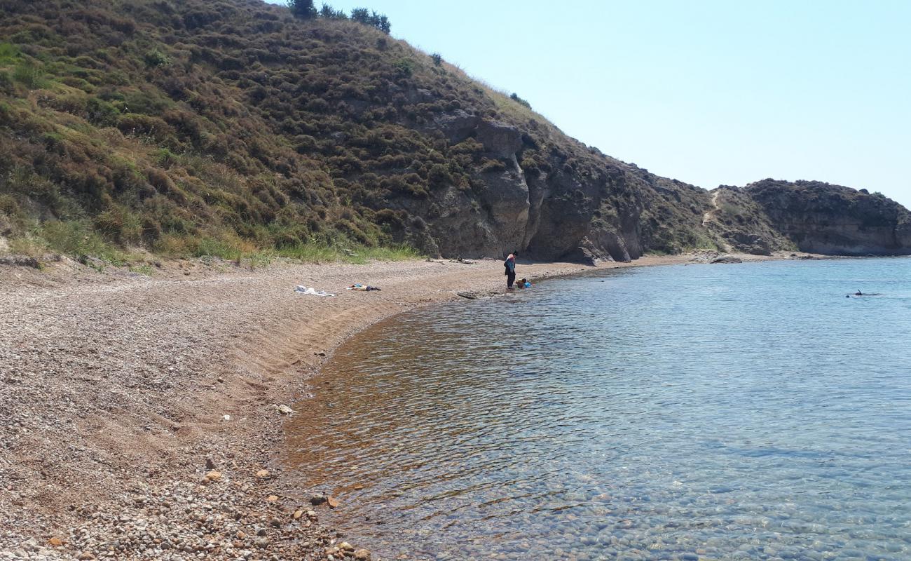 Foto de Misyon beach con guijarro fino oscuro superficie