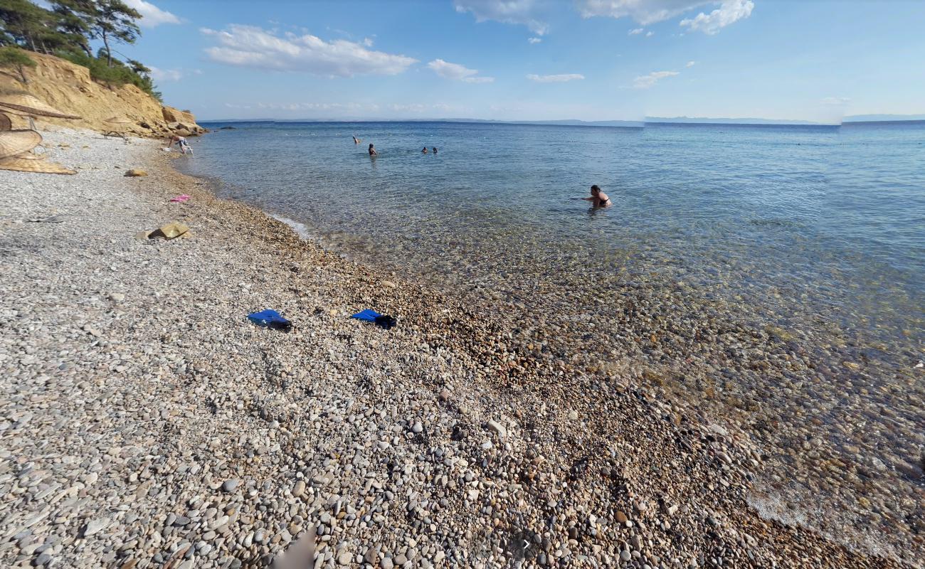 Foto de Sait faik beach III - lugar popular entre los conocedores del relax