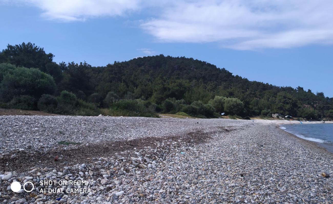 Foto de Sait faik beach II con guijarro ligero superficie