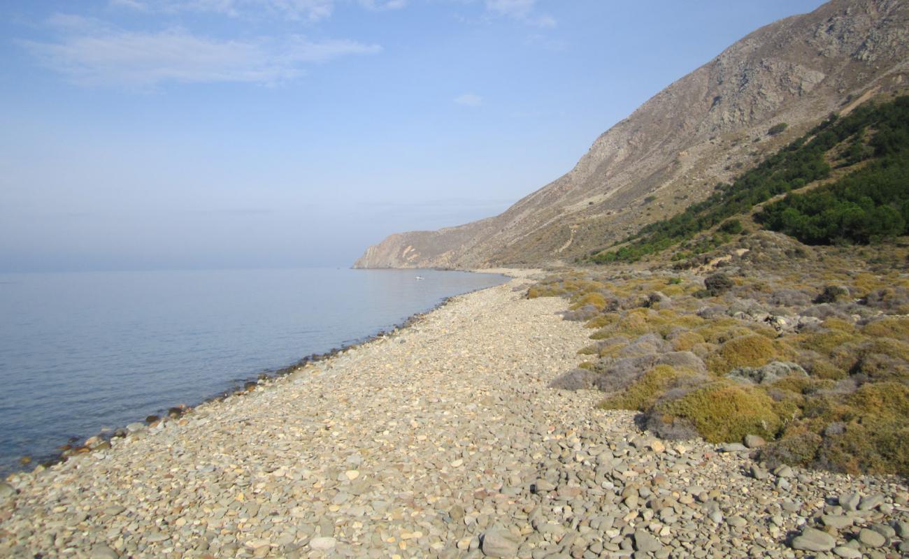 Foto de Derekoy wild con piedra superficie