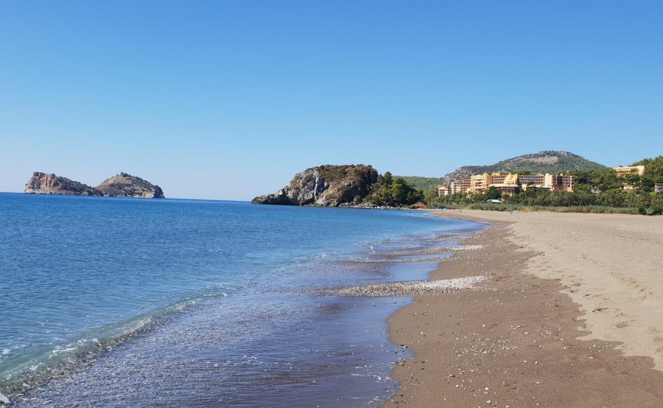 Foto de Family Life beach con arena oscura superficie