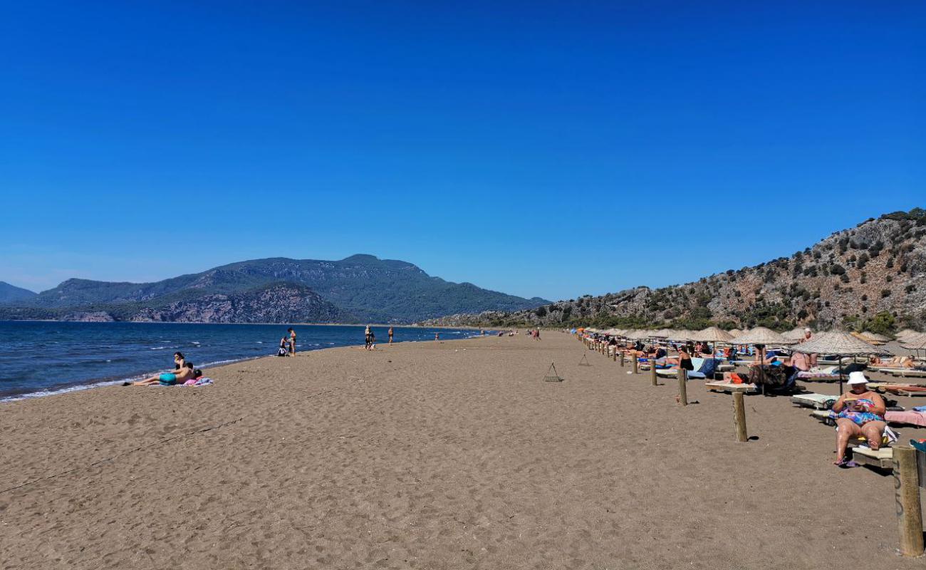 Foto de Playa de Iztuzu con arena fina oscura superficie