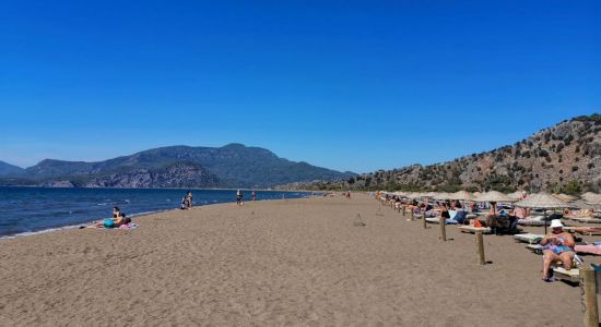 Playa de Iztuzu