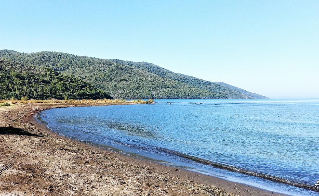 Foto de Gokce beach con arena oscura superficie