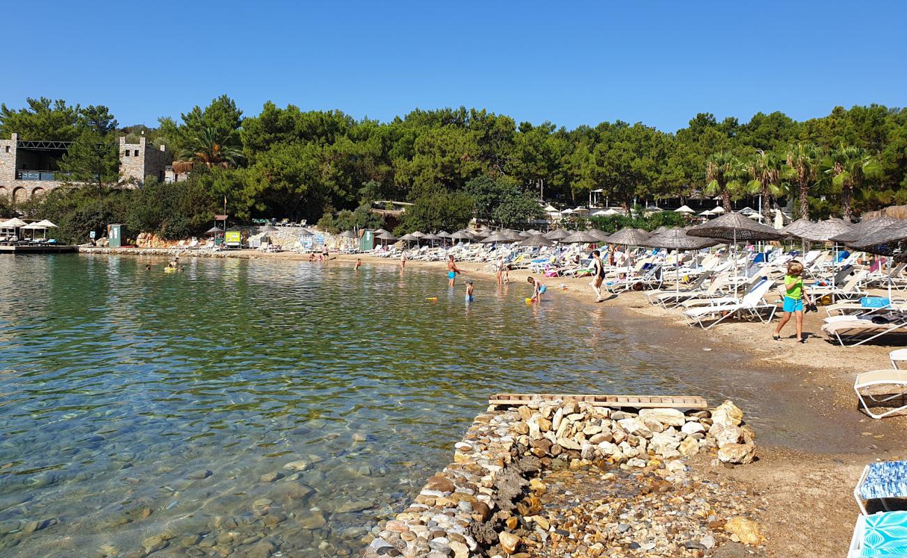 Foto de Playa del Resort de Bodrum con guijarro fino oscuro superficie