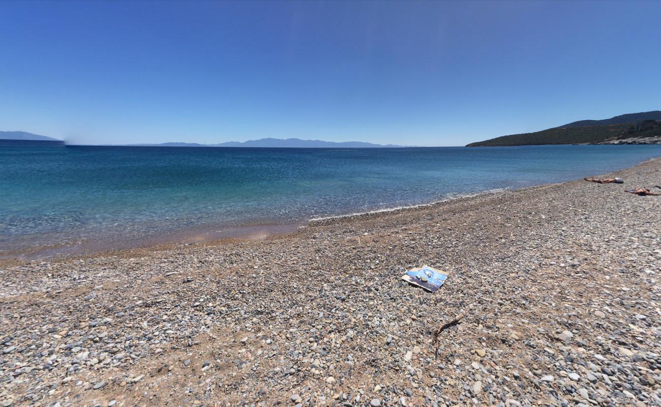 Foto de Yaliciftlik beach con muy limpio nivel de limpieza