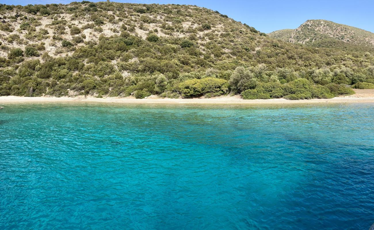 Foto de Rabbit Bay con guijarro ligero superficie