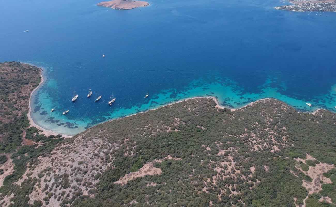 Foto de Akvaryum Bodrum con guijarro ligero superficie