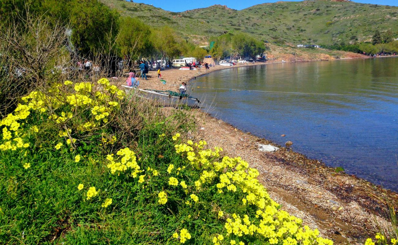 Foto de Mufla Beach II con arena fina y guijarros superficie