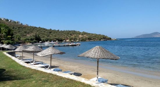 Medd-inn Hotel Beach