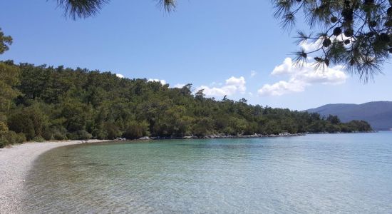 Iron Cove Beach