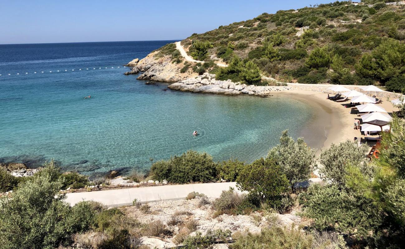 Foto de Seis Sentidos Playa III con brillante arena fina superficie