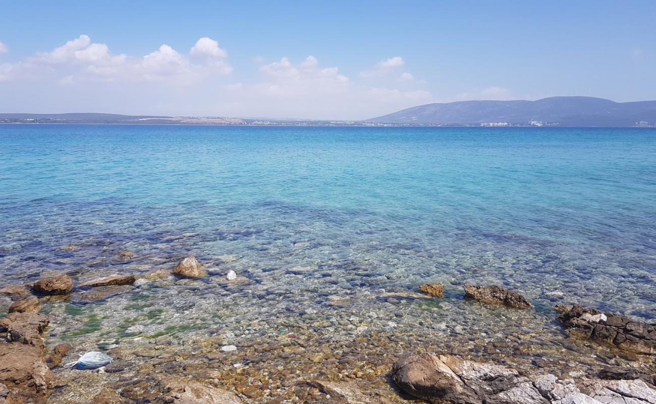 Foto de Empty Beach con piedra superficie