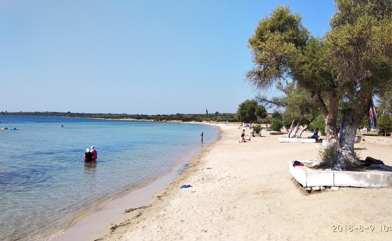 Foto de Fevzi Cakmak beach con arena oscura superficie