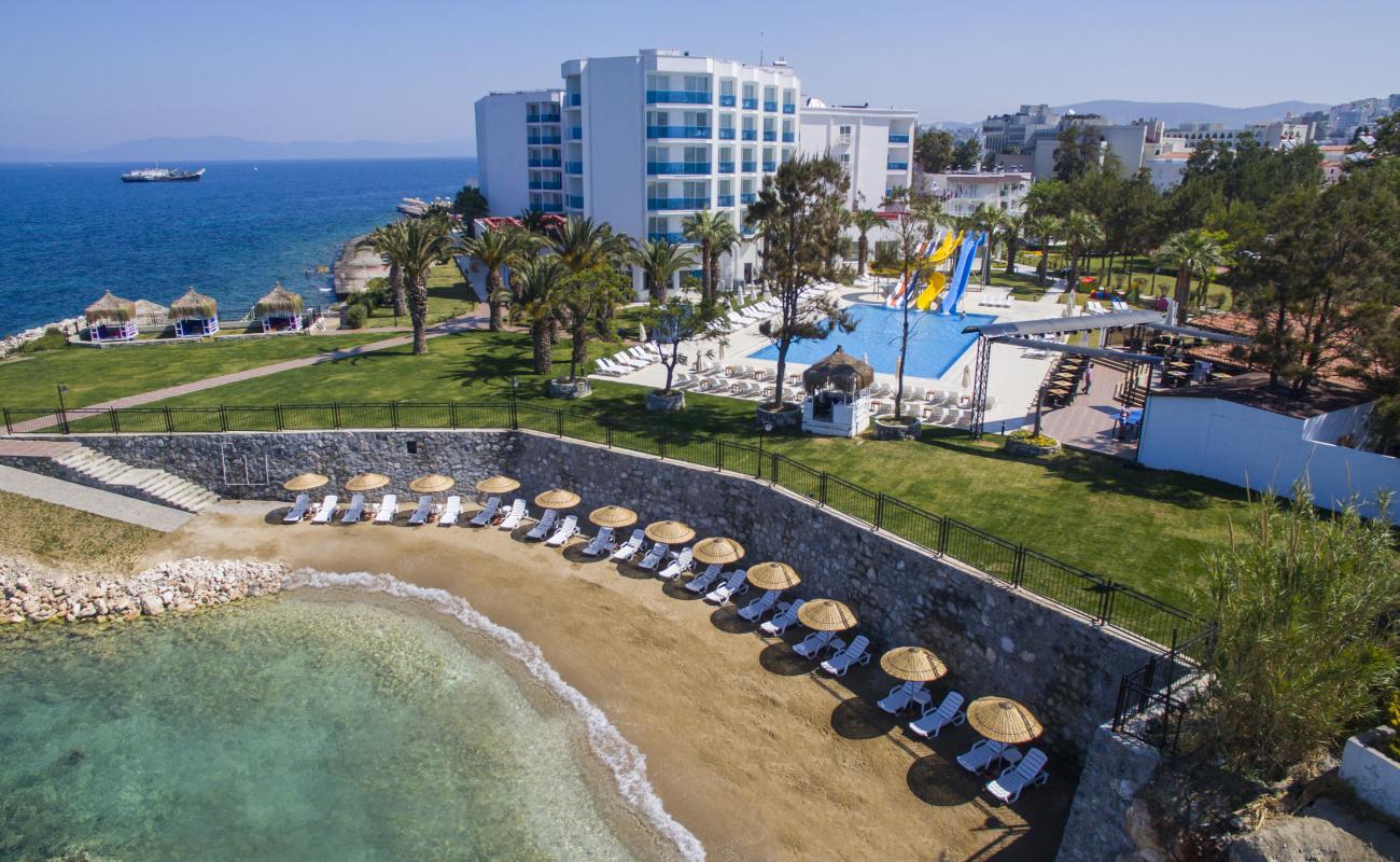 Foto de Playa Verde II con arena fina y guijarros superficie