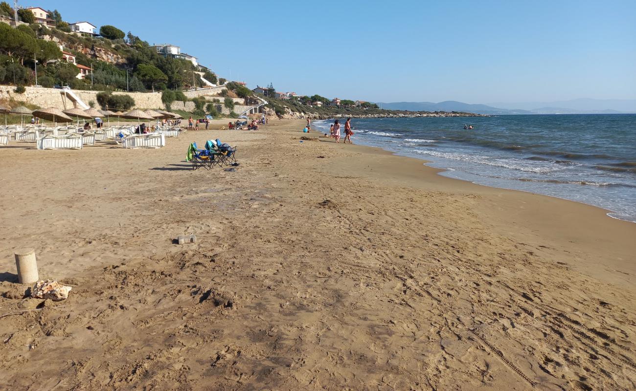 Foto de Yoncakoy beach con arena oscura superficie