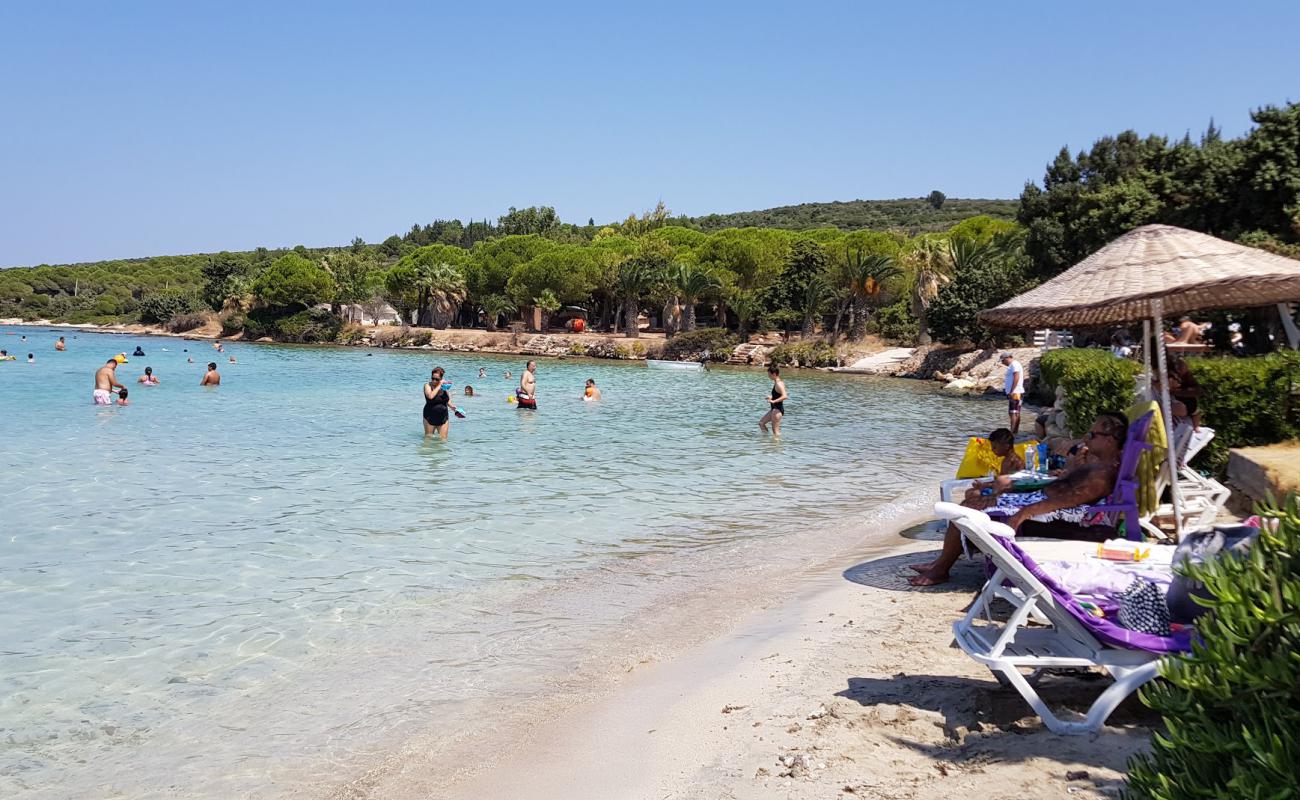 Foto de Club de Playa Quente con brillante arena fina superficie