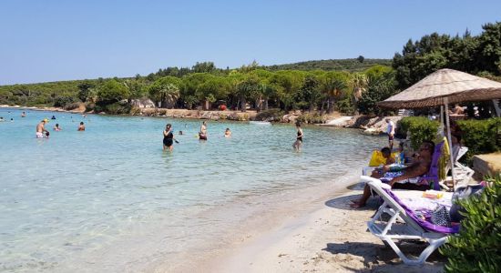 Club de Playa Quente