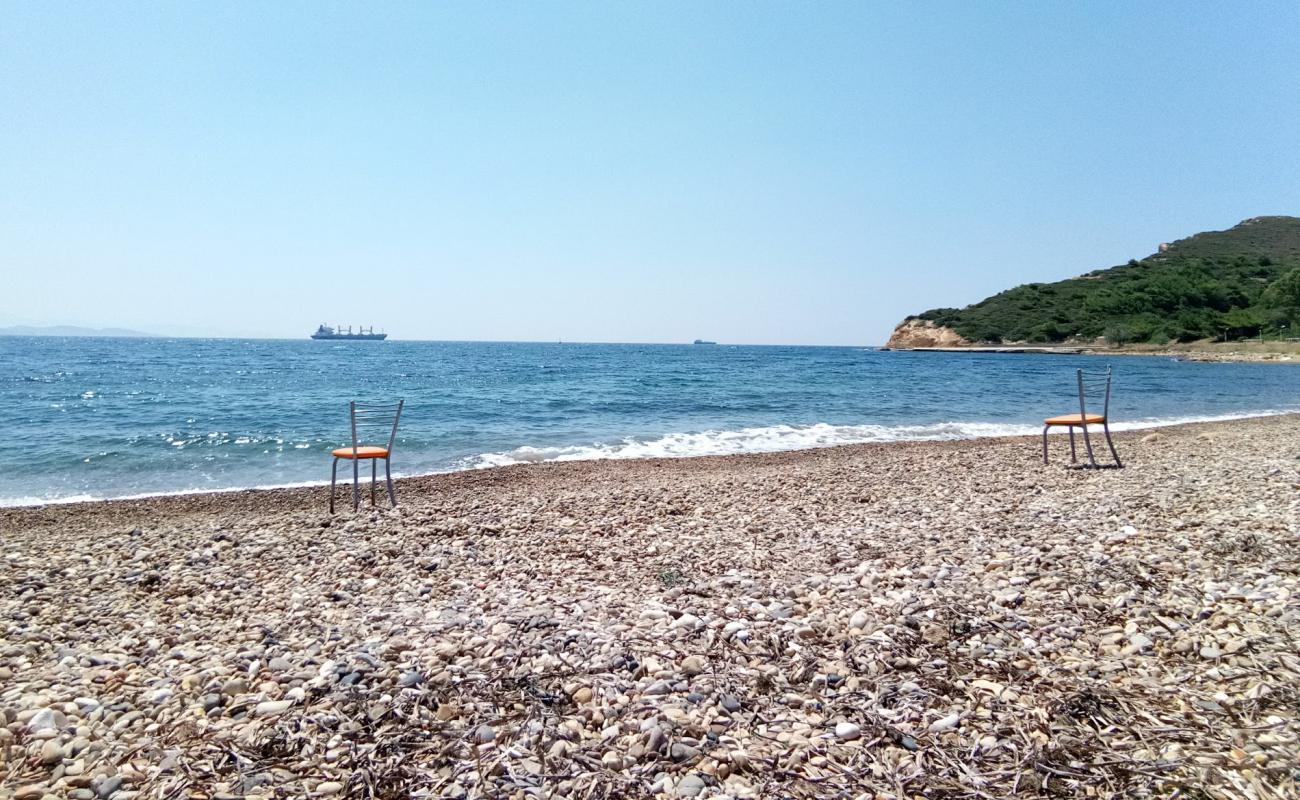 Foto de Cayagzi Camp beach con guijarro fino claro superficie