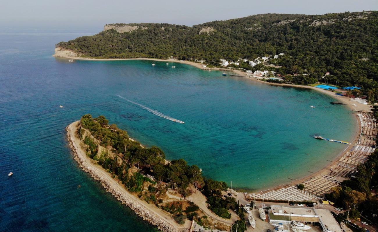 Foto de Playa Moonlight con arena/guijarros negro superficie