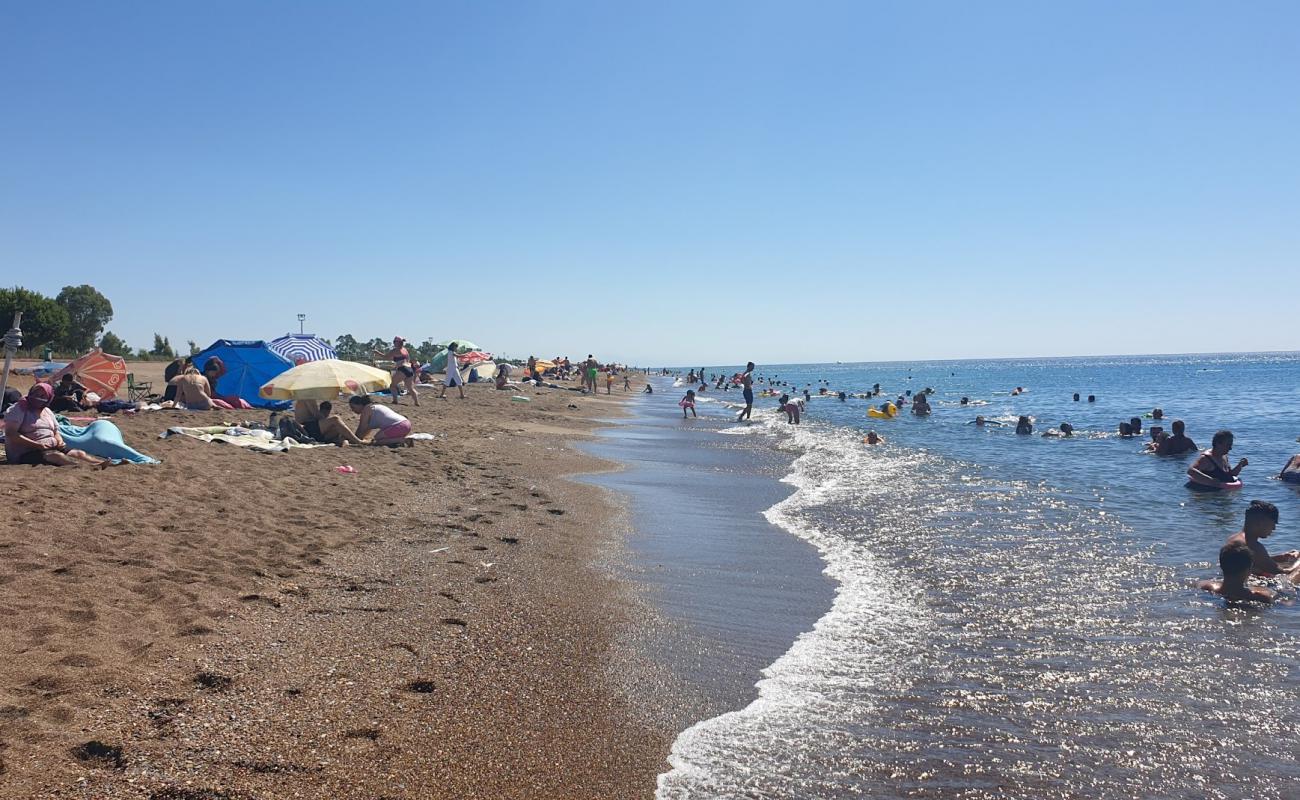 Foto de Playa de Lara con arena oscura superficie