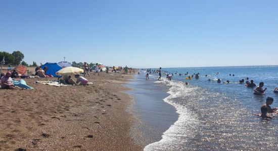 Playa de Lara