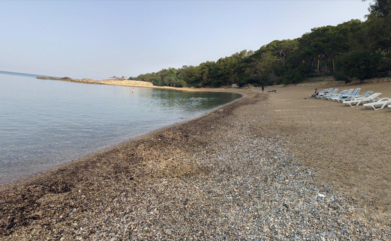 Foto de Incekum beach III con agua verde claro superficie