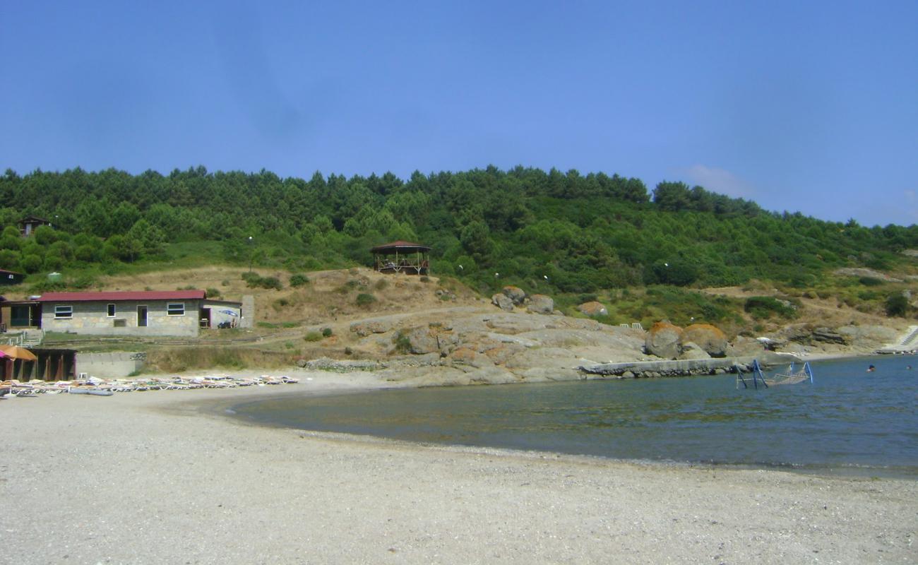 Foto de Sebastian beach II con guijarro fino claro superficie