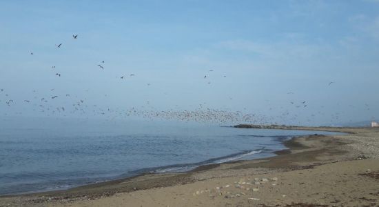 Sogukpinar Neighborhood Beach