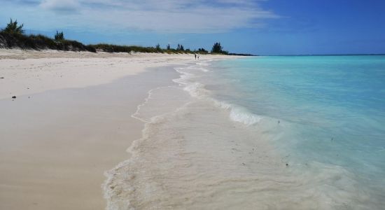 Playa de Parrot Cay