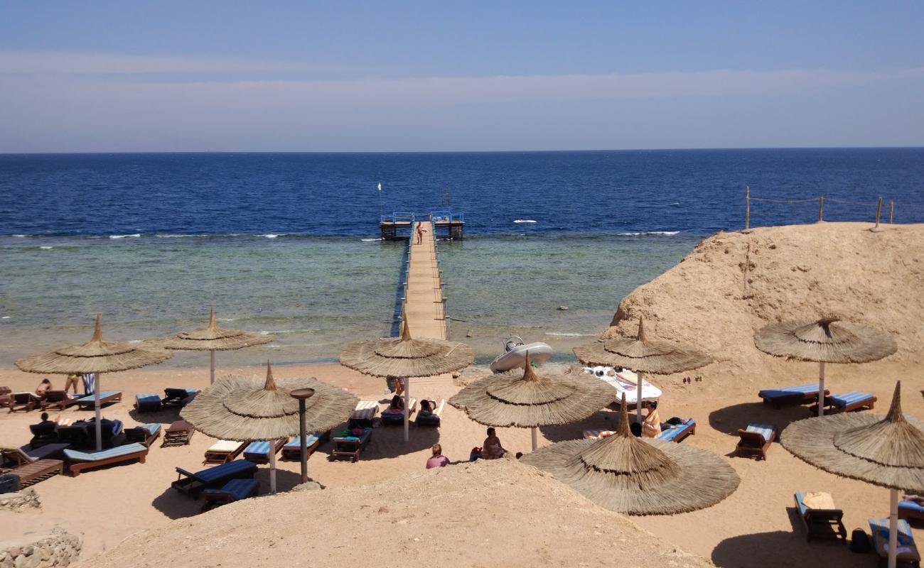 Foto de St. George Coral Beach con hormigón superficie