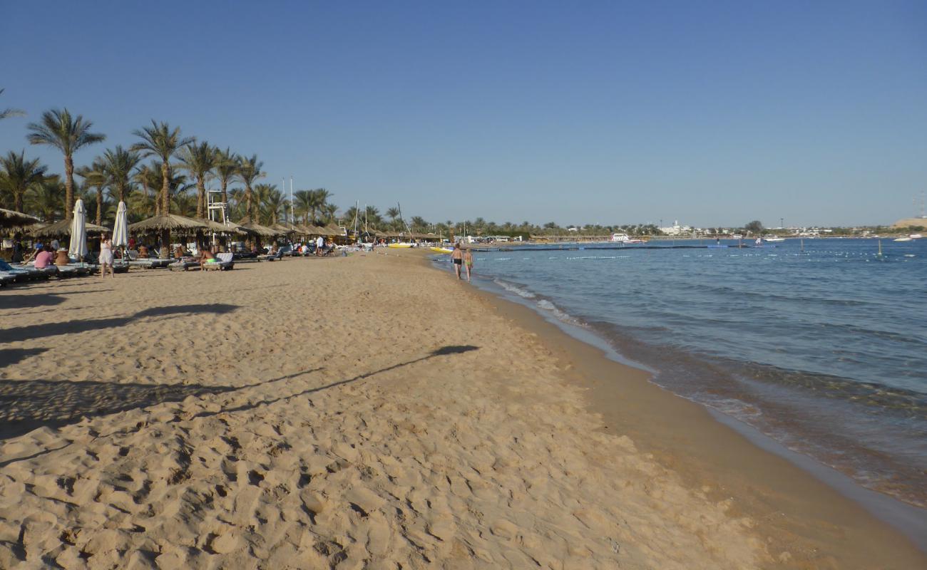 Foto de Naama bay beach con arena brillante superficie