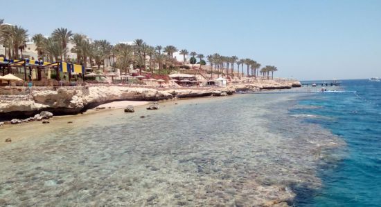 Rotana resort beach