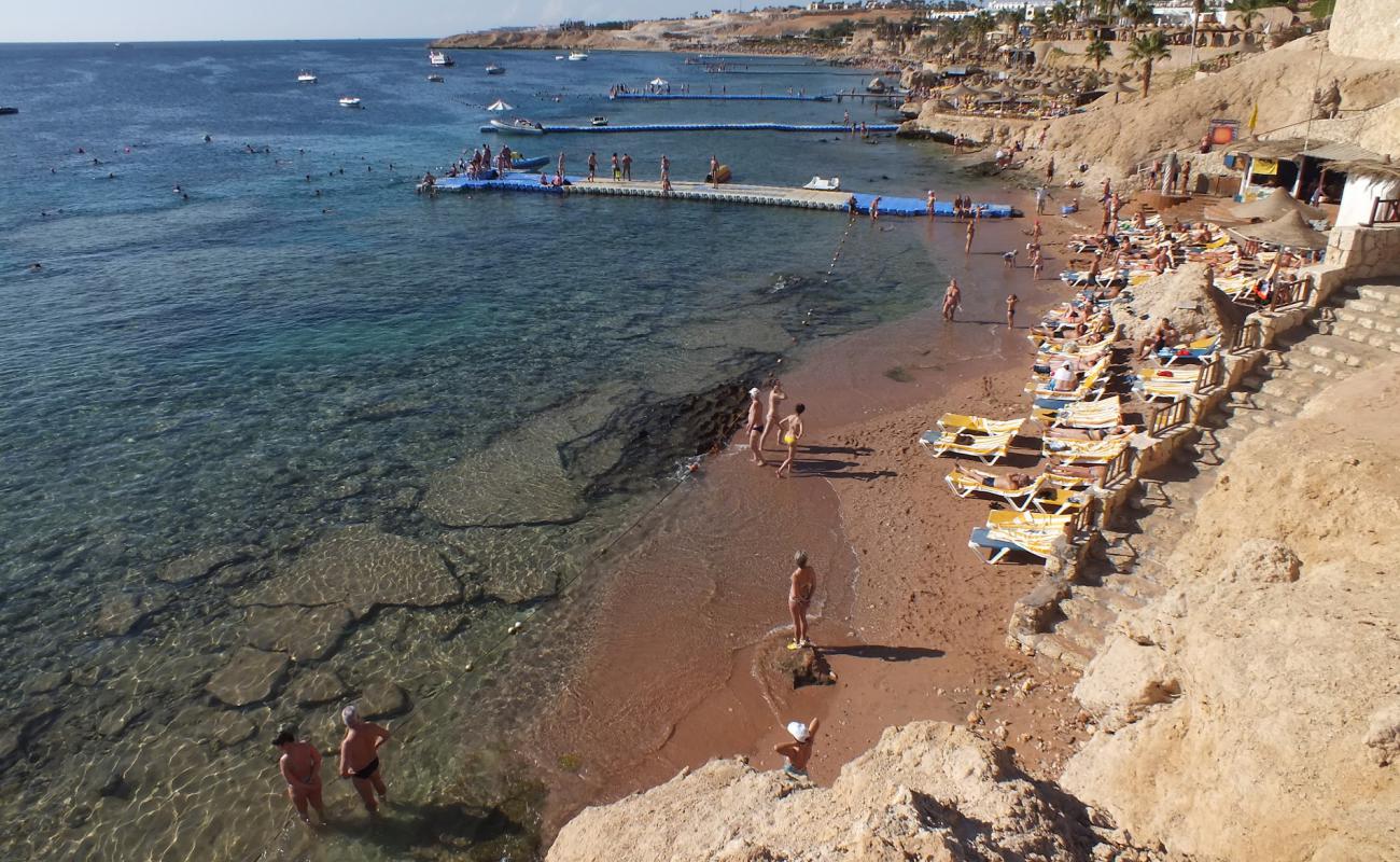 Foto de Shark Bay beach con hormigón superficie