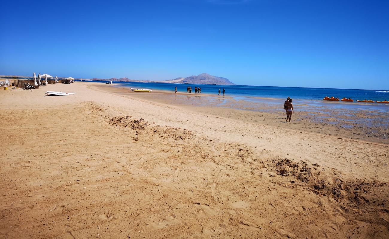 Foto de Adrenaline Beach Park con arena brillante superficie