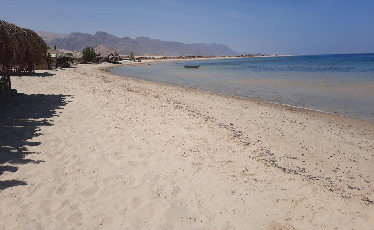 Foto de Friends Camp beach con arena brillante superficie