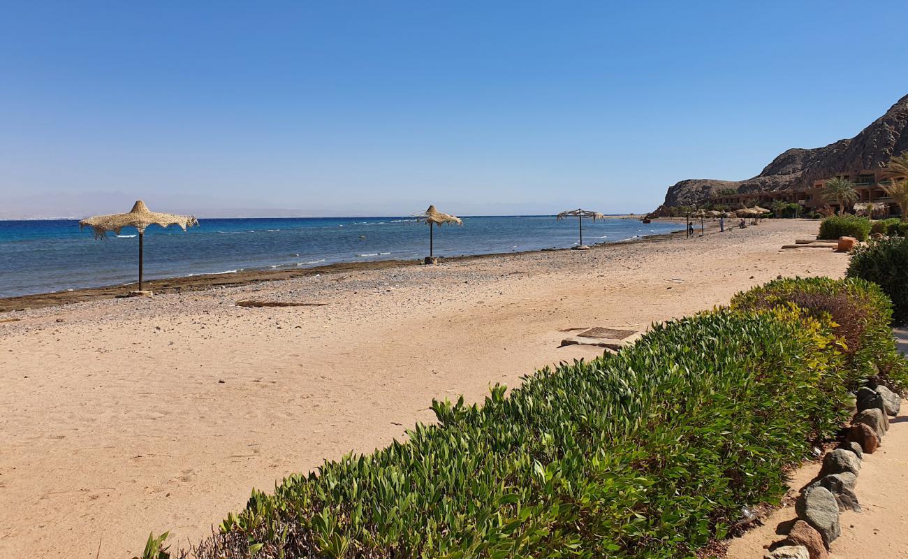 Foto de Saladin Hotel Taba con guijarro ligero superficie