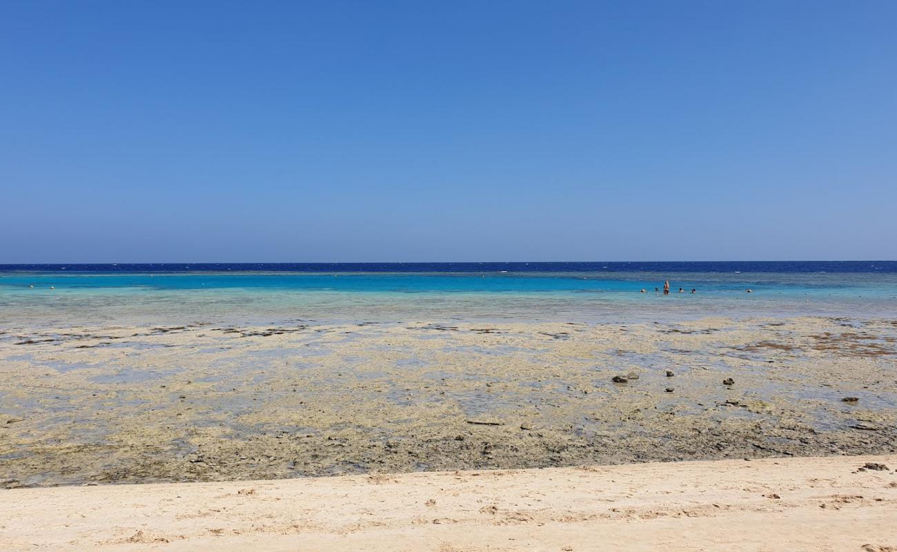 Foto de Gorgonia Beach con hormigón superficie