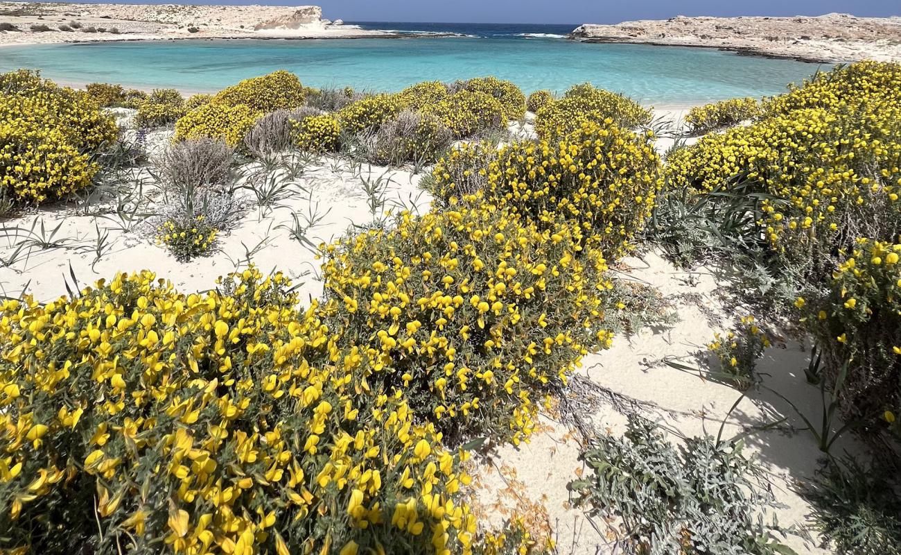 Foto de Ras El Hikma Beach con arena brillante superficie