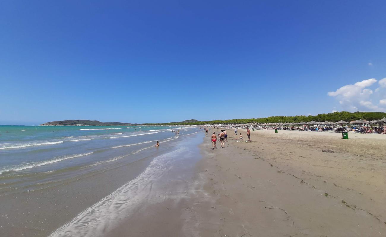 Foto de Narta beach con arena fina oscura superficie